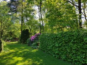 a hedge with purple flowers in a park at Knusse Natuur Bungalow Hartje Veluwe in Otterlo +9 photos