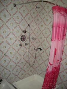 La salle de bains est pourvue d'une douche avec un rideau de douche rose. dans l'établissement Casa Giada, à Avegno