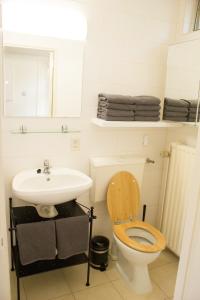 a bathroom with a toilet and a sink at Knusse 5 Persoons Bungalow Hartje Veluwe in Otterlo