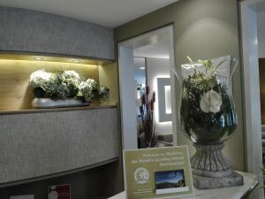 Vstupní hala nebo recepce v ubytování Hotel Windsor