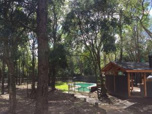 un patio trasero con piscina y un pabellón con una casa en Departamento Pucon, en Pucón