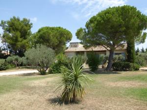 Gallery image of Mas Des Collines in Fontvieille