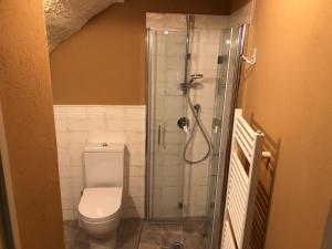 La salle de bains est pourvue de toilettes et d'une douche en verre. dans l'établissement Casa Albertina, à Lucques