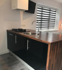 a kitchen with a sink and a counter top at Beach lodge in Zandvoort