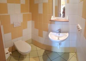 łazienka z toaletą i umywalką w obiekcie Pensjonat Danielka w mieście Ujsoły