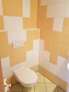 a bathroom with a toilet and a tiled wall at Pensjonat Danielka in Ujsoły