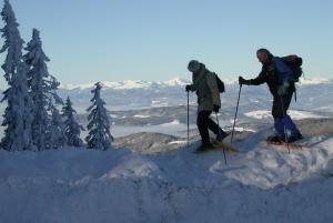 Almhüttendorf Klippitztörl durante o inverno