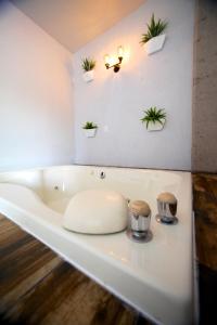 une baignoire blanche avec des plantes sur le mur dans l'établissement Hotel Express Jerez, à Jerez de García Salinas