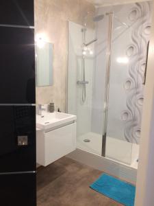 W łazience znajduje się biała umywalka i prysznic. w obiekcie Loft Zen w mieście Bordeaux