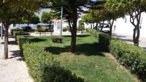 a park with trees and grass and a sidewalk at Vacaciones en el paraíso in Lagoa