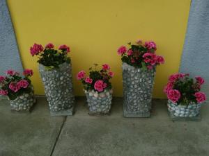 Fotografie z fotogalerie ubytování B&B Tisoi v destinaci Belluno