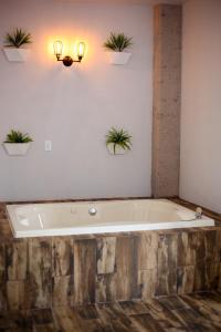 Fotografie z fotogalerie ubytování Hotel Express Jerez v destinaci Jerez de García Salinas