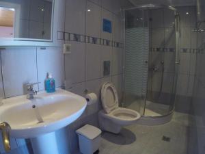 a bathroom with a sink and a toilet and a shower at Geroulis Stefanos Studios in Vasiliki