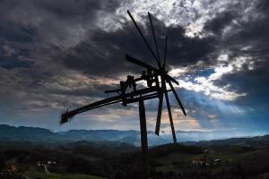 Příroda nedaleko prázdninového domu + 5 fotografií