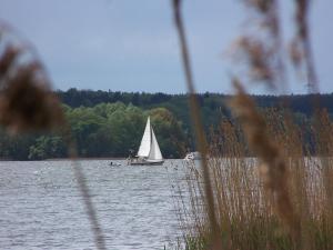 una barca a vela su un lago alberato di Ferien in Himmelpfort a Himmelpfort