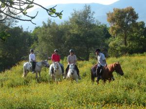 un groupe de personnes à cheval dans un champ dans l'établissement Maison d'Hôtes de Charme de Croccano, à Sartène