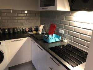 Kuchyňa alebo kuchynka v ubytovaní Klopot 4 Apartment