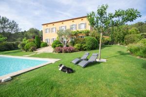 a dog sitting on the grass in front of a house at La Bastide Tara in Cabriès