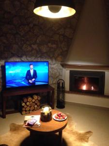 TV a/nebo společenská místnost v ubytování Beach House Nikiti