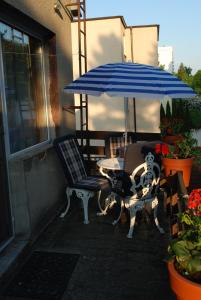 un patio con 2 sillas y una sombrilla en Homestay Kapitańska 9 en Gdynia