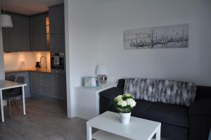 Kuchyňa alebo kuchynka v ubytovaní Apartament Zielone Tarasy