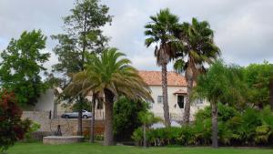 ein Haus mit Palmen davor in der Unterkunft Quinta do Mourão in Tentúgal