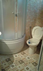 a bathroom with a shower and a toilet in it at Vila Bogdan in Buşteni