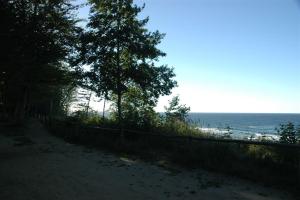 a beach with a fence and trees and the ocean at Na Skarpie in Jastrzębia Góra