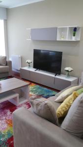 sala de estar con sofá y TV de pantalla plana en Apartamento ideal Familias y Grupos, en Vigo