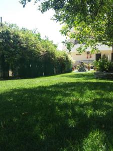 A garden outside San Georgio Hotel