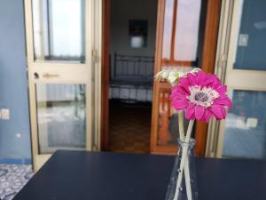 un jarrón con una flor rosa sentado en una mesa en B&B Colombo, en Pisa