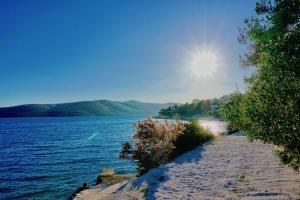 Fotografia z galérie ubytovania Demarus v Seget Vranjici
