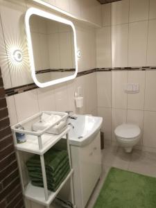 uma casa de banho com um lavatório, um espelho e um WC. em Apartment Cosmelux Nürnberg em Nurembergue