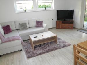 TV a/nebo společenská místnost v ubytování Apartament Esja