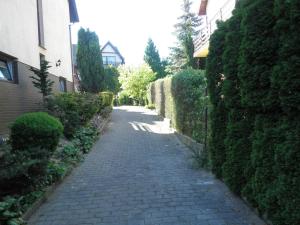 Zahrada ubytování Apartament Esja