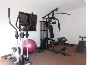 Fitness centrum a/nebo fitness zařízení v ubytování Vacation house Radosic