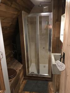 a shower with a glass door in a bathroom at Watt Cottage in Ipswich