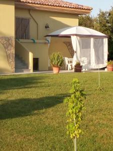 Vonkajšia záhrada v ubytovaní D&V Casa-Sea