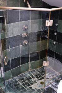 a shower with a glass door in a bathroom at Modern B & B in Houston +15 photos