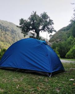 a blue tent sitting in the grass in a field at Ara Camps in McLeod Ganj