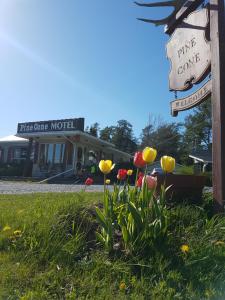 Zahrada ubytování Pinecone Motel