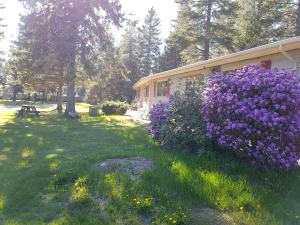 Zahrada ubytování Pinecone Motel