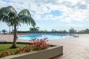 uma piscina com uma palmeira e cadeiras em OCEAN VIEW/DUPLEX/PISCINE/TENNIS Zone VIP Funchal em Funchal