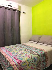 sypialnia z łóżkiem i zieloną ścianą w obiekcie Estancia del Sol w mieście Cabo San Lucas