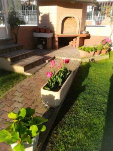 A garden outside Palazzina del sole