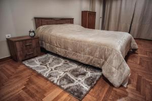 1 dormitorio con 1 cama grande y 1 alfombra en Athens' Classiest Neighborhood Renovated Apartment, en Atenas