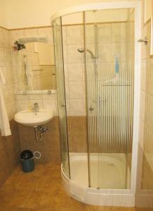 La salle de bains est pourvue d'une douche et d'un lavabo. dans l'établissement Foki Apartman, à Balf