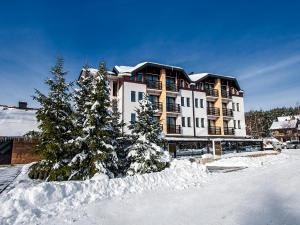 Hotel MIR v zimě