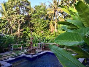une piscine dans un jardin tropical avec des arbres dans l'établissement Kerta Family Bed and Breakfast, à Ubud