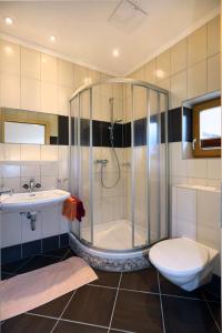 a bathroom with a shower and a toilet and a sink at Haus Gritsch in Sölden